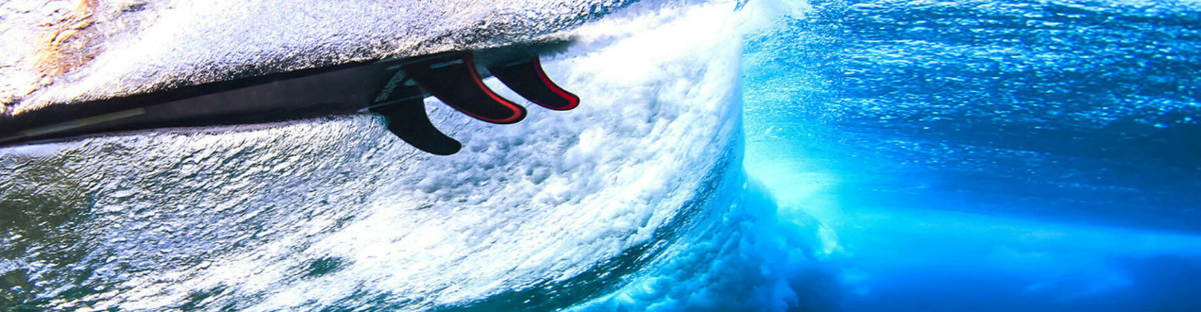 Best Surf Shop -Best Surf Shop jgjfgj