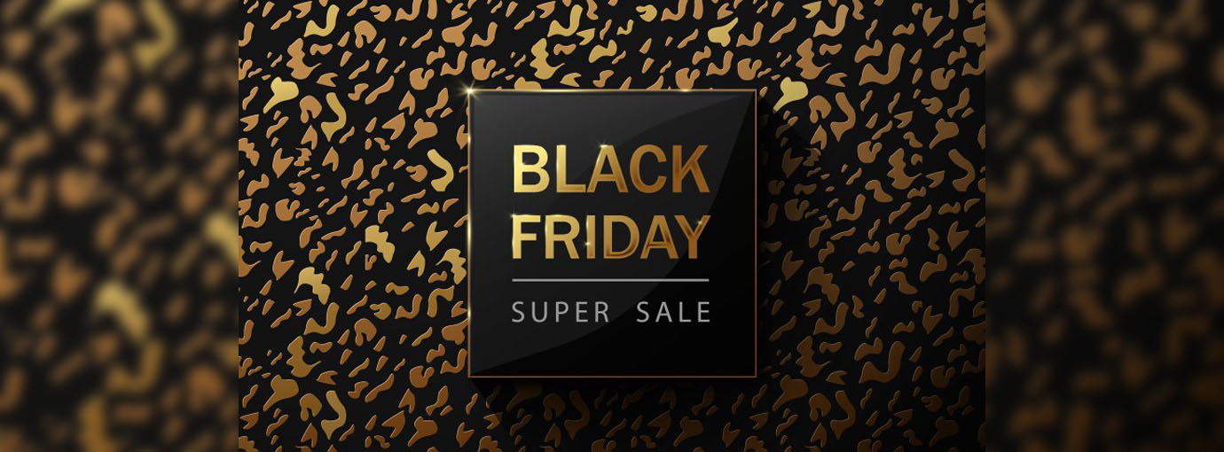 Best Surf Shop -Best Surf Shop 224